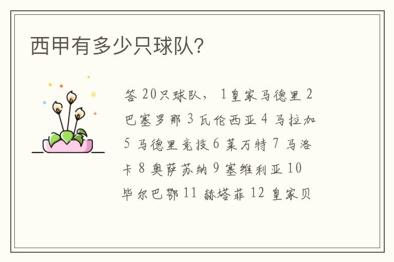 西甲有多少只球队?