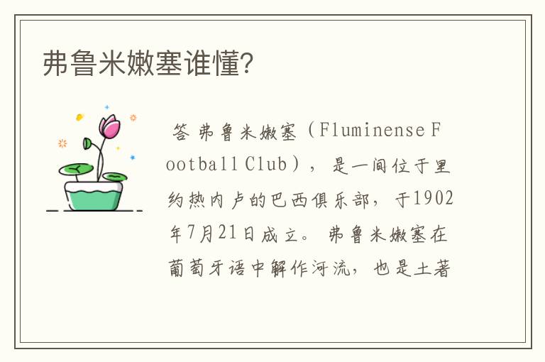 弗鲁米嫩塞谁懂?