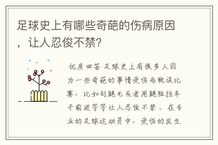 足球史上有哪些奇葩的伤病原因,让人忍俊不禁?