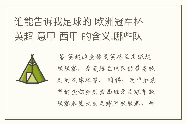 谁能告诉我足球的 欧洲冠军杯 英超 意甲 西甲 的含义.哪些队 怎么进行比赛的.