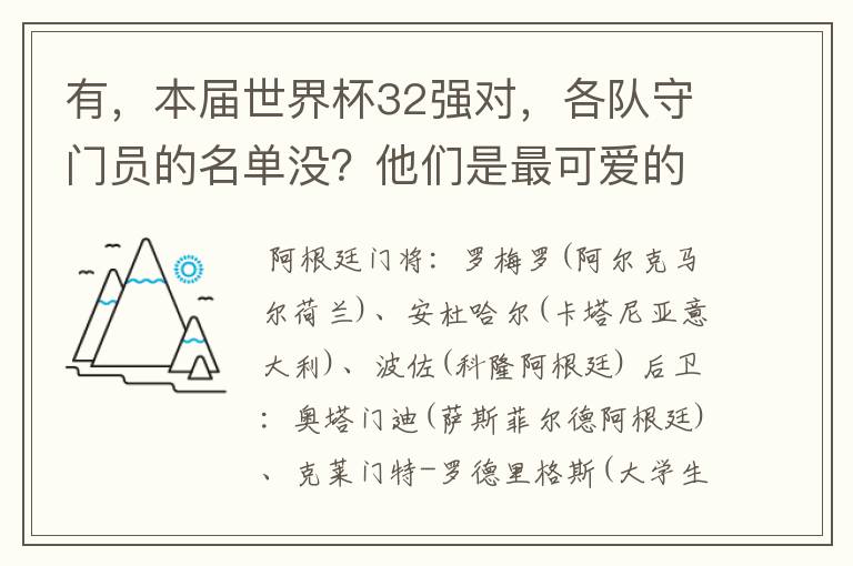有,本届世界杯32强对,各队守门员的名单没?他们是最可爱的人