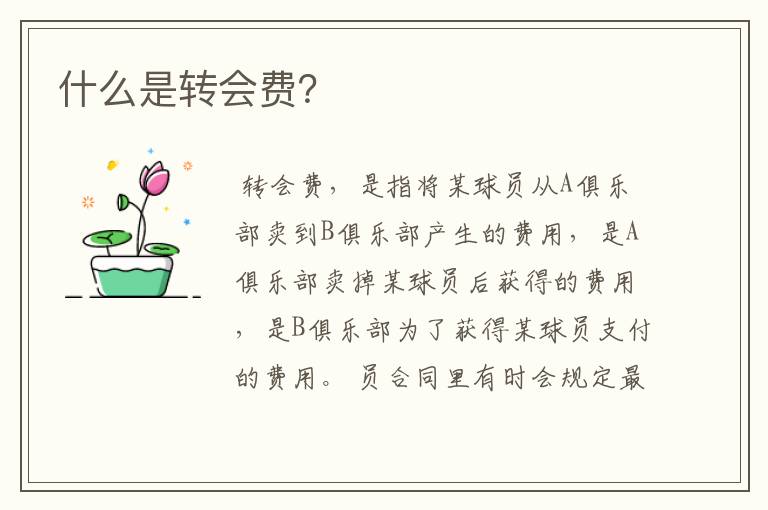 什么是转会费?