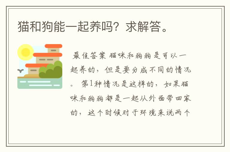 猫和狗能一起养吗?求解答。