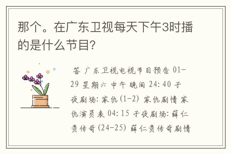 那个。在广东卫视每天下午3时播的是什么节目?