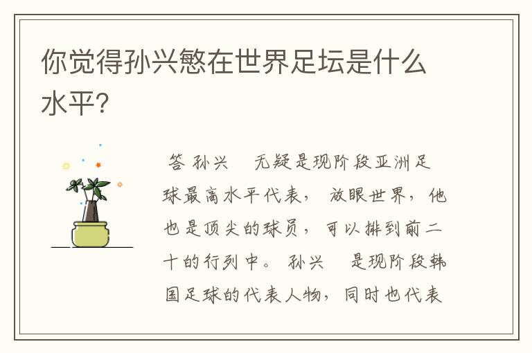 你觉得孙兴慜在世界足坛是什么水平?