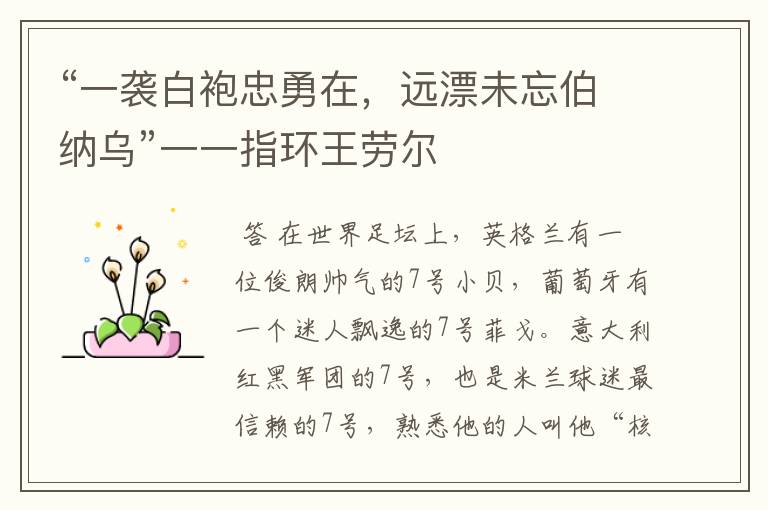 “一袭白袍忠勇在,远漂未忘伯纳乌”一一指环王劳尔