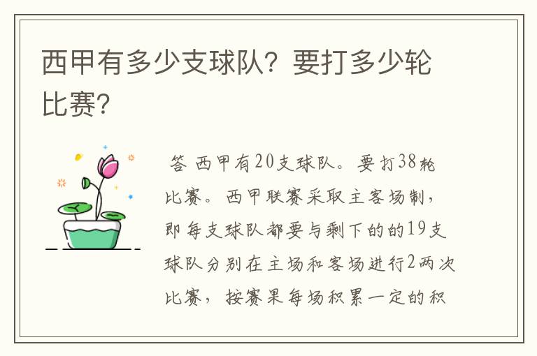 西甲有多少支球队?要打多少轮比赛?