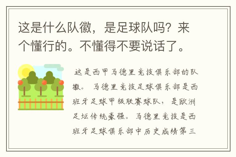 这是什么队徽,是足球队吗?来个懂行的。不懂得不要说话了。