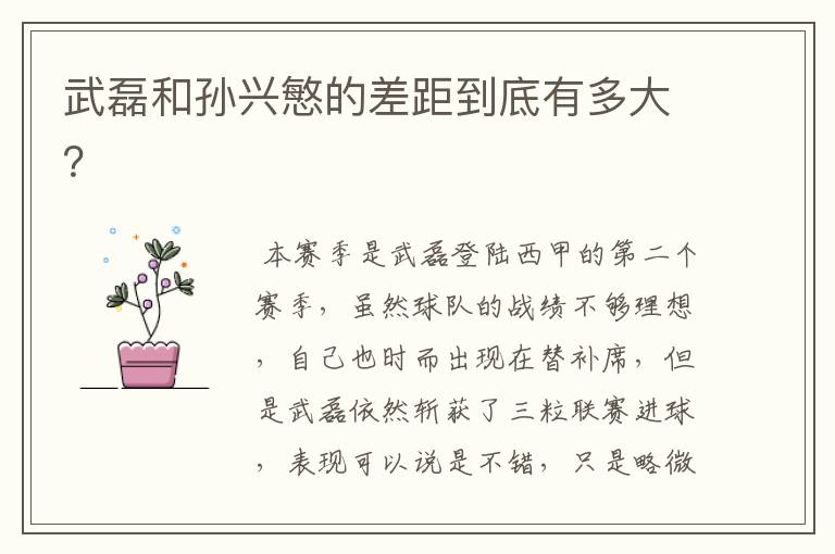 武磊和孙兴慜的差距到底有多大?