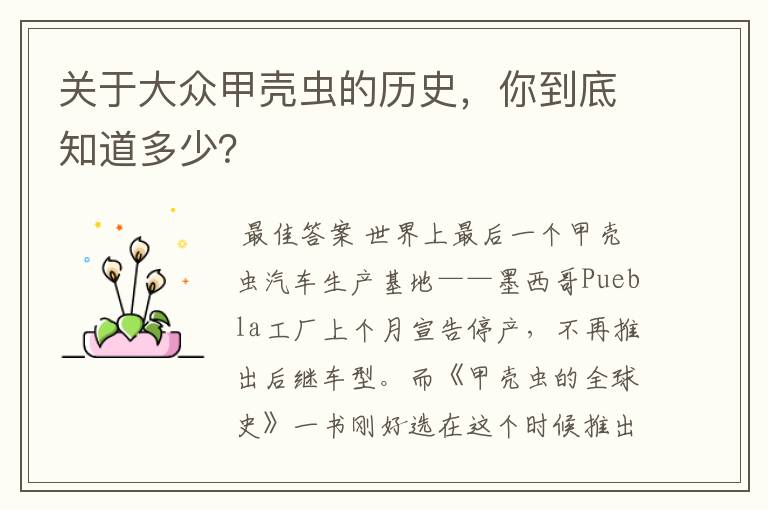 关于大众甲壳虫的历史,你到底知道多少?