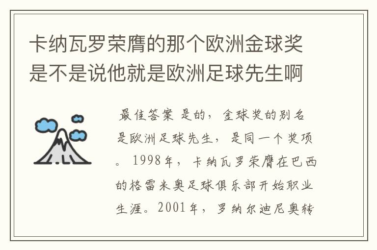 卡纳瓦罗荣膺的那个欧洲金球奖是不是说他就是欧洲足球先生啊?