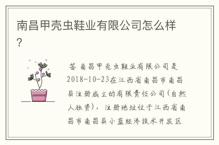 南昌甲壳虫鞋业有限公司怎么样?