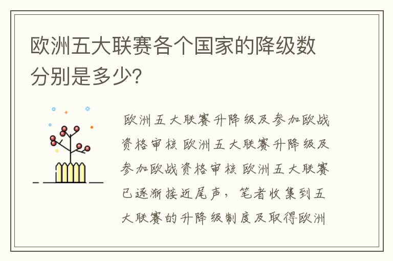 欧洲五大联赛各个国家的降级数分别是多少?
