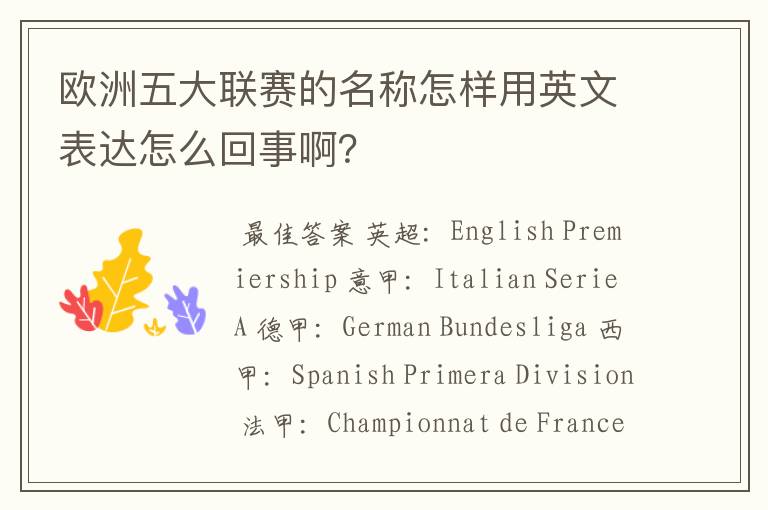 欧洲五大联赛的名称怎样用英文表达怎么回事啊?