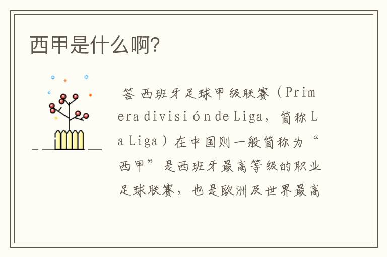 西甲是什么啊?