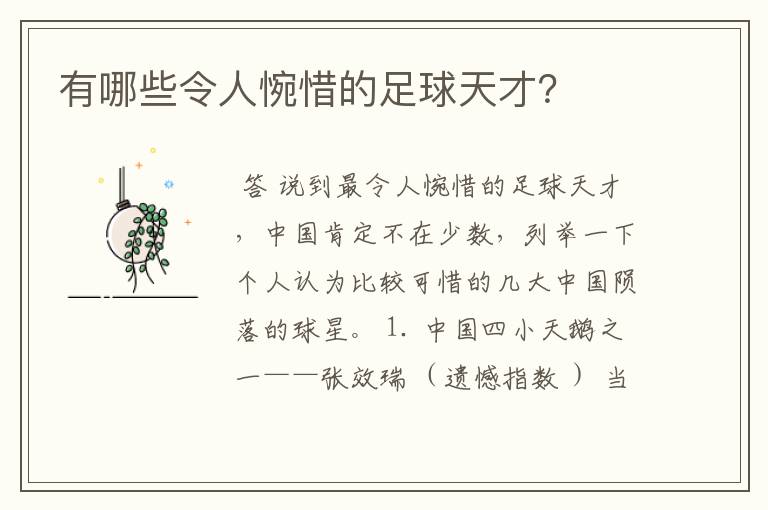 有哪些令人惋惜的足球天才?