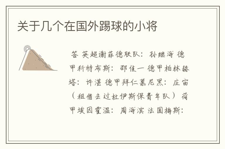 关于几个在国外踢球的小将