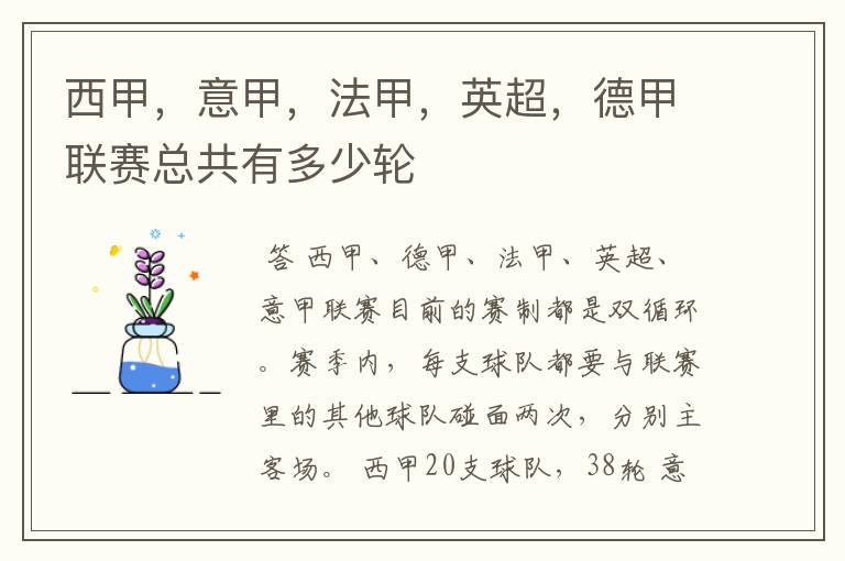 西甲,意甲,法甲,英超,德甲联赛总共有多少轮