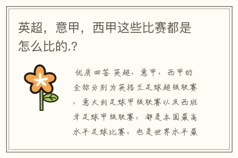 英超,意甲,西甲这些比赛都是怎么比的.?