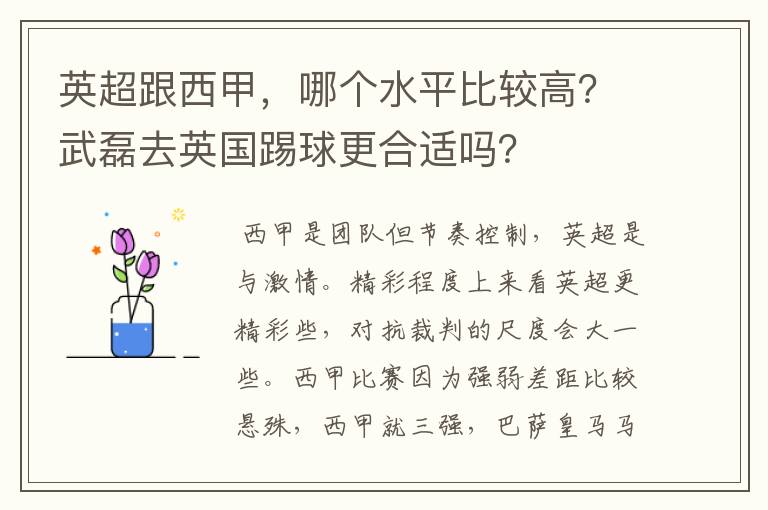 英超跟西甲,哪个水平比较高?武磊去英国踢球更合适吗?