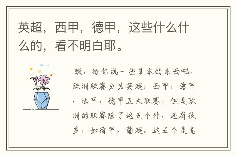 英超,西甲,德甲,这些什么什么的,看不明白耶。