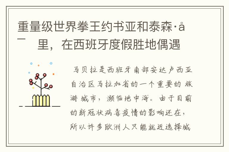 重量级世界拳王约书亚和泰森·富里,在西班牙度假胜地偶遇