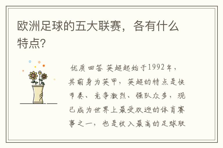 欧洲足球的五大联赛,各有什么特点?