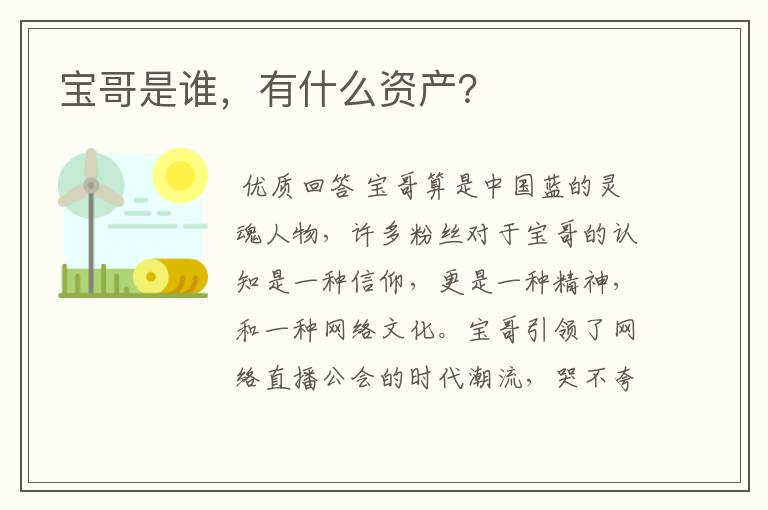 宝哥是谁,有什么资产?