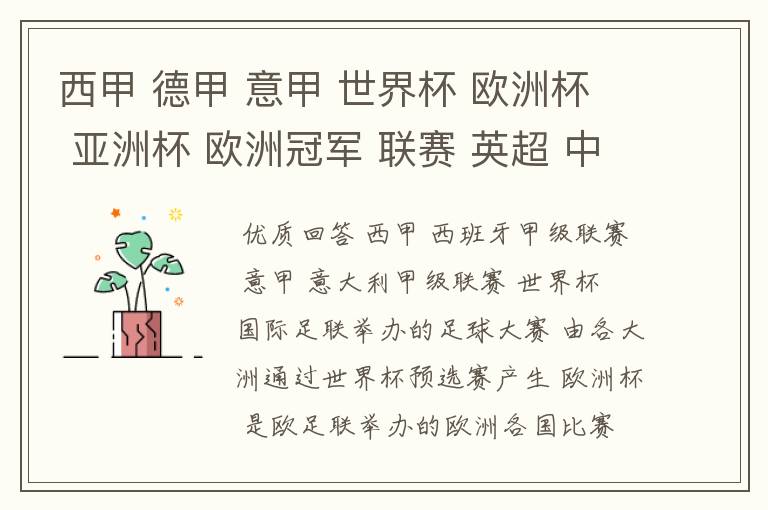 西甲 德甲 意甲 世界杯 欧洲杯 亚洲杯 欧洲冠军 联赛 英超 中超 分别是什么意思啊?