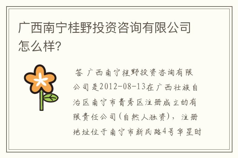 广西南宁桂野投资咨询有限公司怎么样?