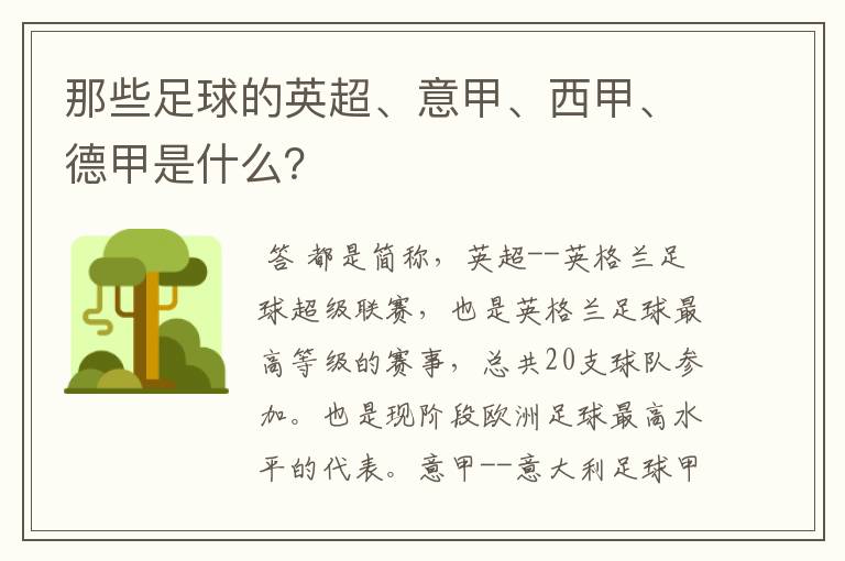那些足球的英超、意甲、西甲、德甲是什么?