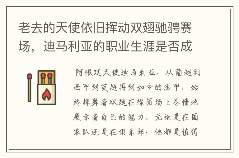 老去的天使依旧挥动双翅驰骋赛场,迪马利亚的职业生涯是否成功?