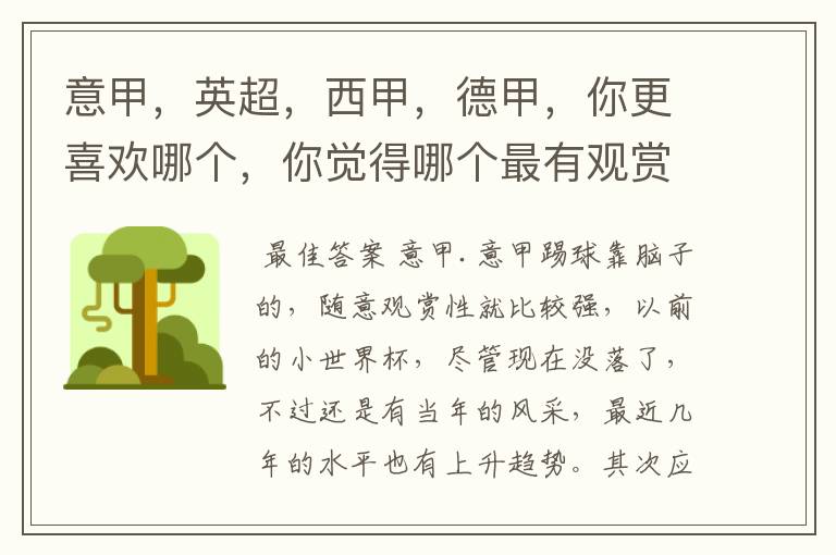 意甲,英超,西甲,德甲,你更喜欢哪个,你觉得哪个最有观赏性