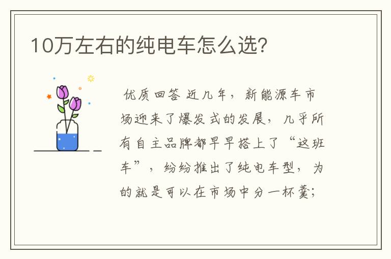 10万左右的纯电车怎么选?