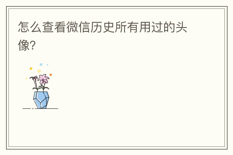 怎么查看微信历史所有用过的头像？
