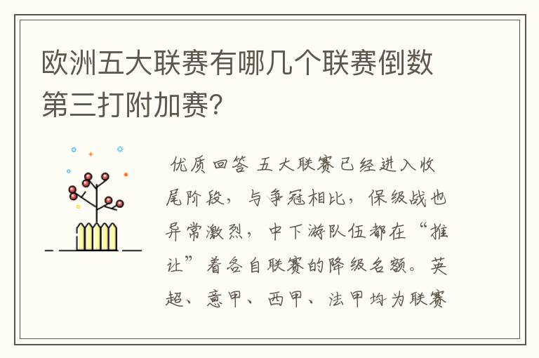 欧洲五大联赛有哪几个联赛倒数第三打附加赛?