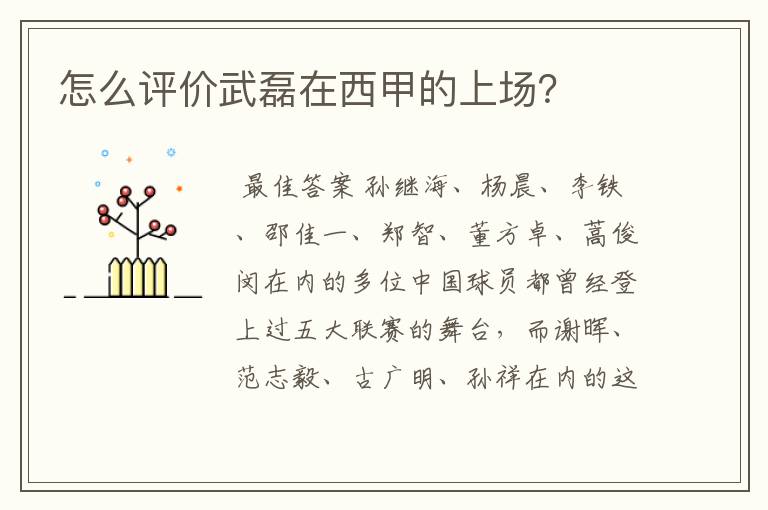 怎么评价武磊在西甲的上场?