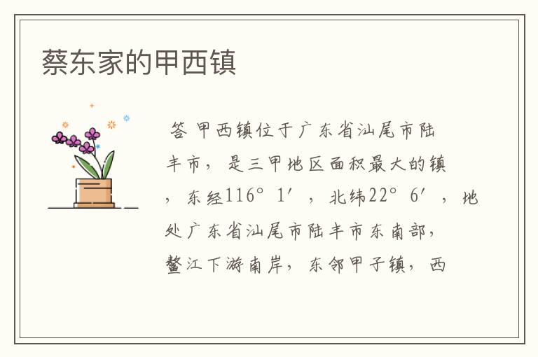 蔡东家的甲西镇