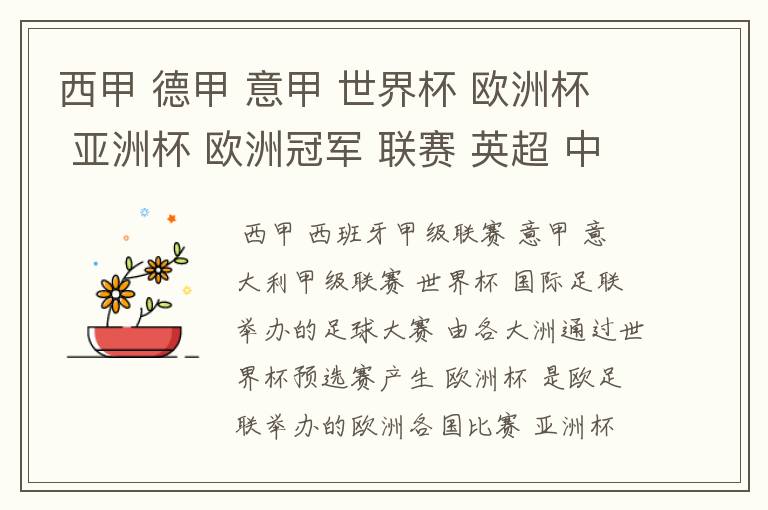 西甲 德甲 意甲 世界杯 欧洲杯 亚洲杯 欧洲冠军 联赛 英超 中超 分别是什么意思啊?