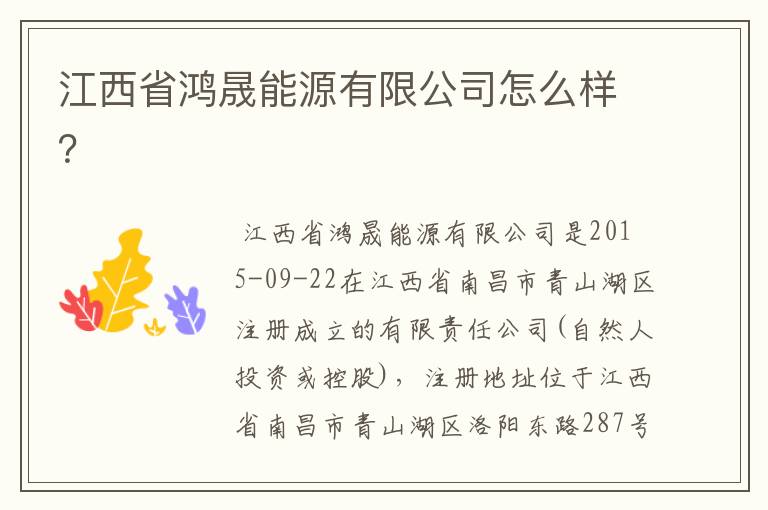 江西省鸿晟能源有限公司怎么样?