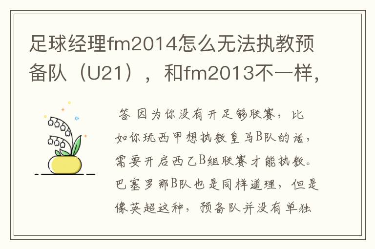 足球经理fm2014怎么无法执教预备队(U21),和fm2013不一样,求解答