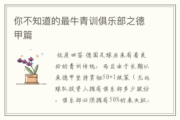 你不知道的最牛青训俱乐部之德甲篇