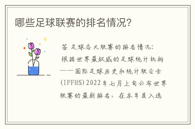 哪些足球联赛的排名情况?
