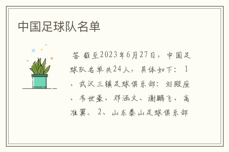 中国足球队名单
