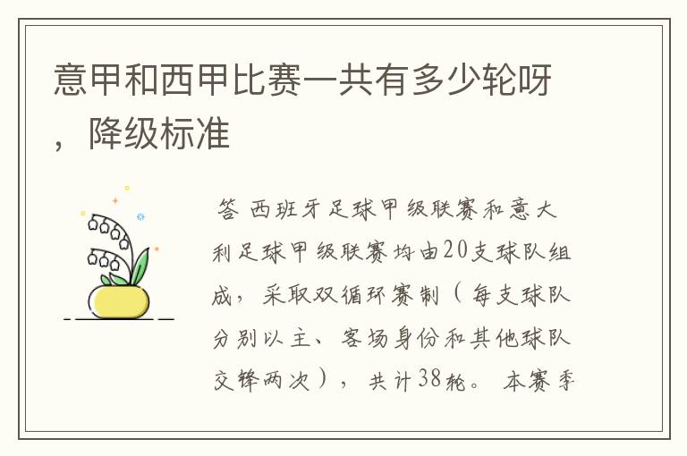 意甲和西甲比赛一共有多少轮呀,降级标准
