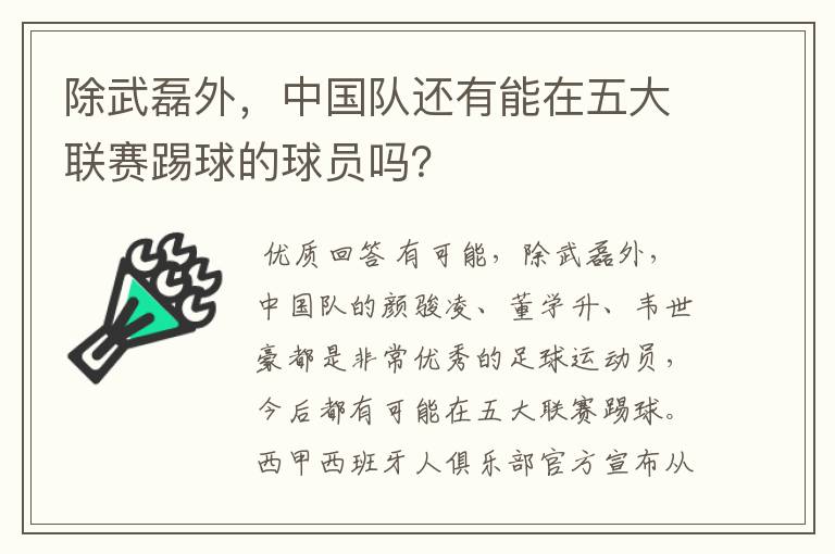 除武磊外,中国队还有能在五大联赛踢球的球员吗?