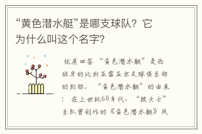 “黄色潜水艇”是哪支球队?它为什么叫这个名字?