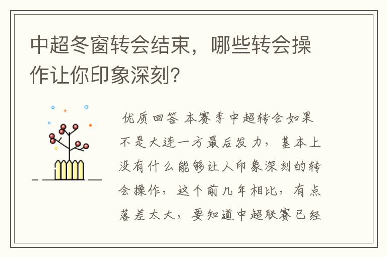 中超冬窗转会结束,哪些转会操作让你印象深刻?