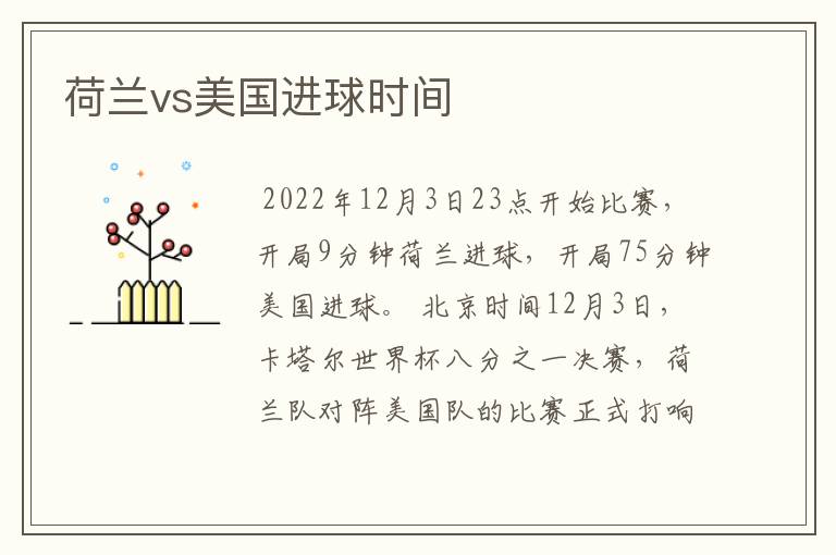 荷兰vs美国进球时间