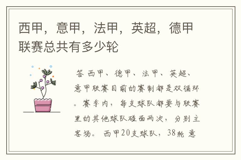 西甲,意甲,法甲,英超,德甲联赛总共有多少轮